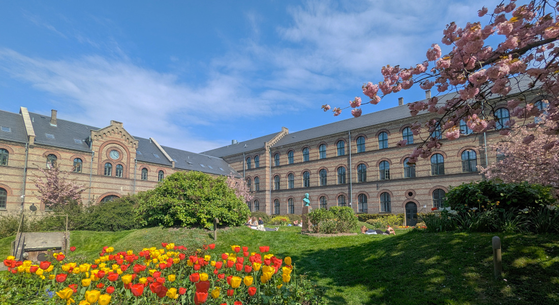 View of the CSS buildings in the spring with tulips and cherry blossoms on the lawn